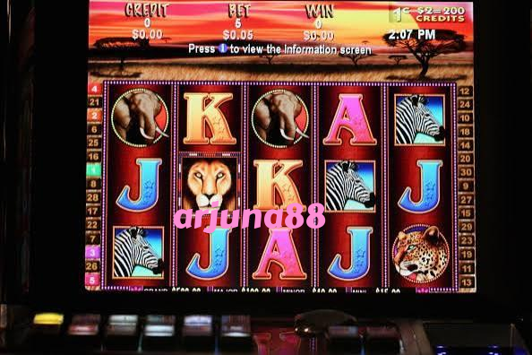 arjuna88 Live Sportsbook Markets at Your Fingertips